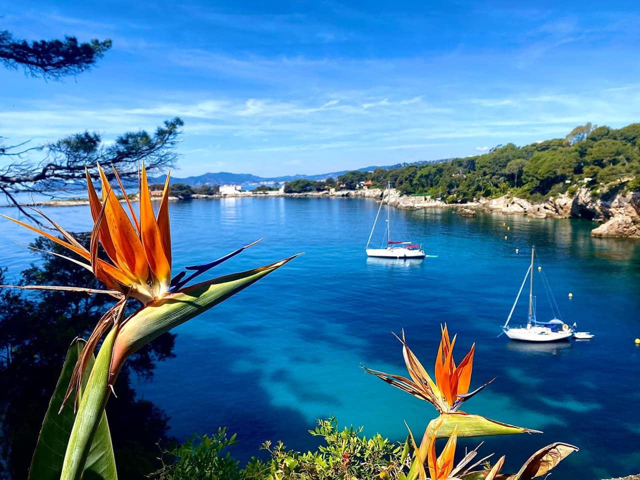 Crique de la Côte d'Azur avec voiliers